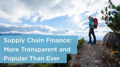 supply chain finance transparency